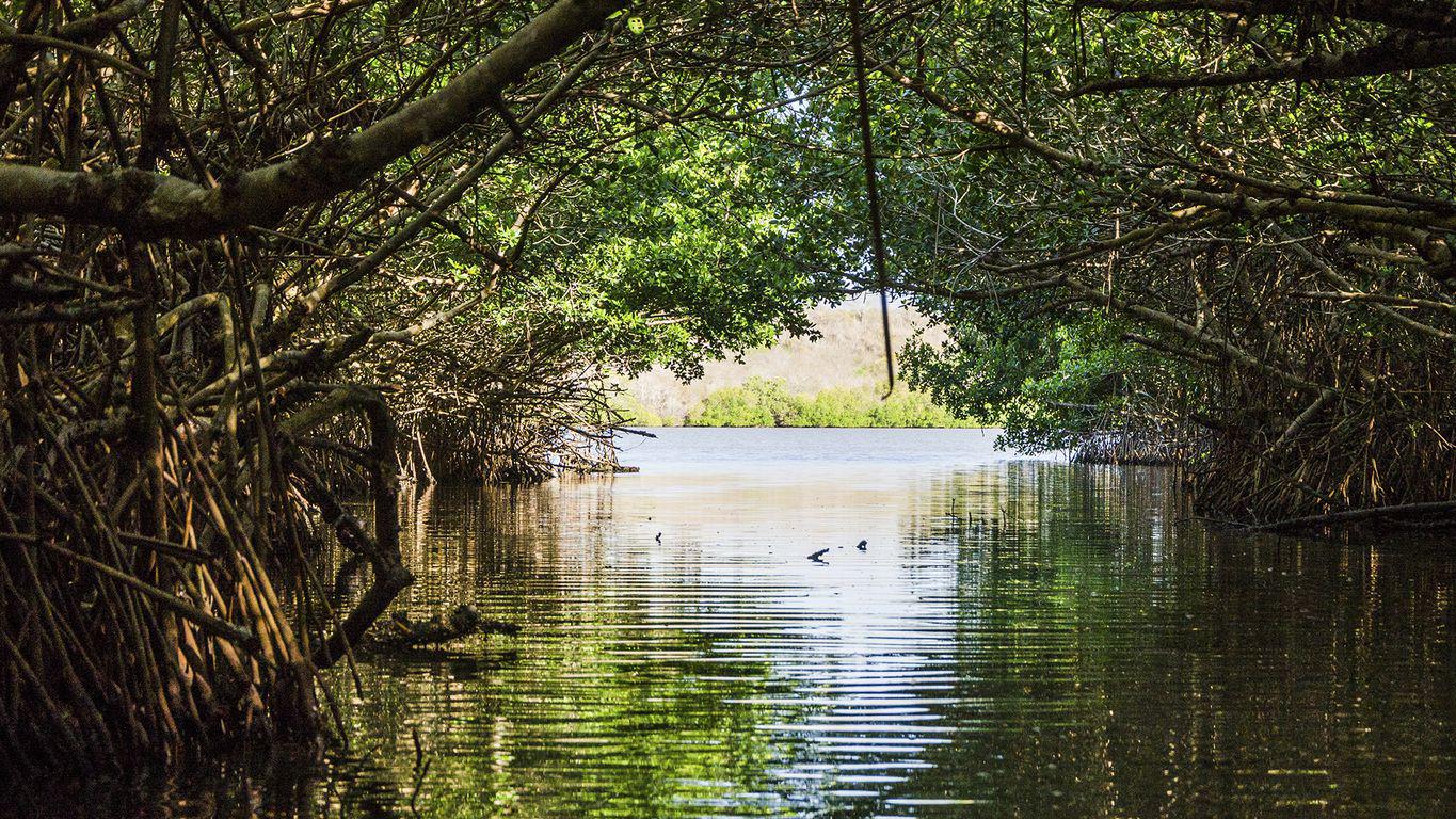 Sendero laguna guanaroca